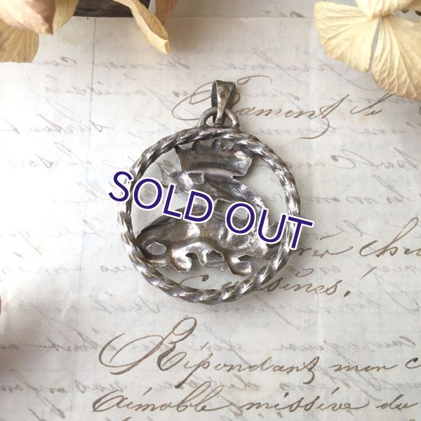 画像5: サラマンダー紋章のペンダント (5)