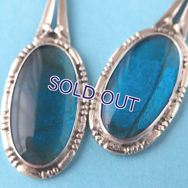 画像3: 銀製 モルフォ蝶のピアス (3)