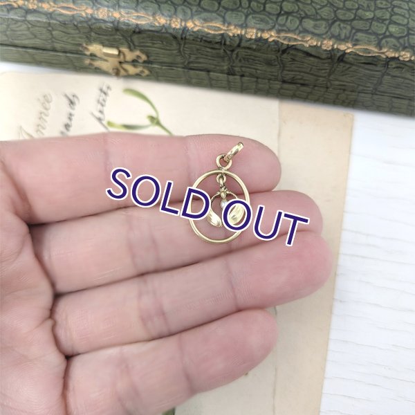 画像7: FIX ヤドリギのゴールドペンダント (7)