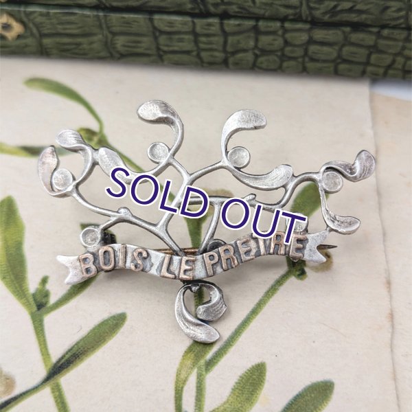 画像3: 『BOIS LE PRETRE』ヤドリギのブローチ (3)