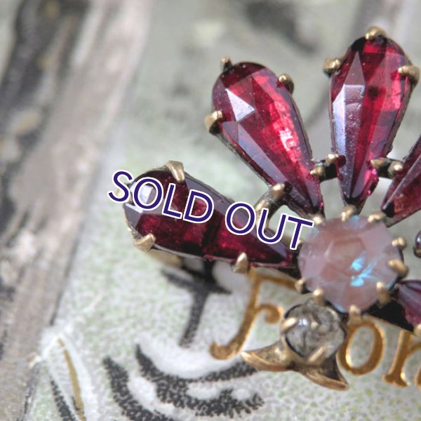 画像7: サフィレットと赤ガラスのファンブローチ (7)