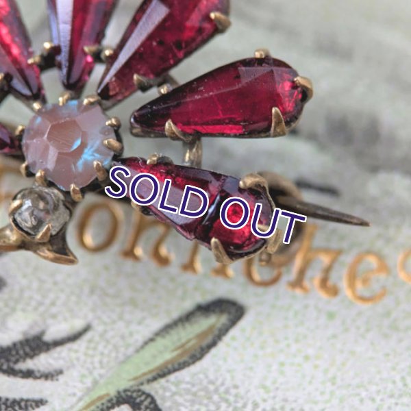 画像8: サフィレットと赤ガラスのファンブローチ (8)